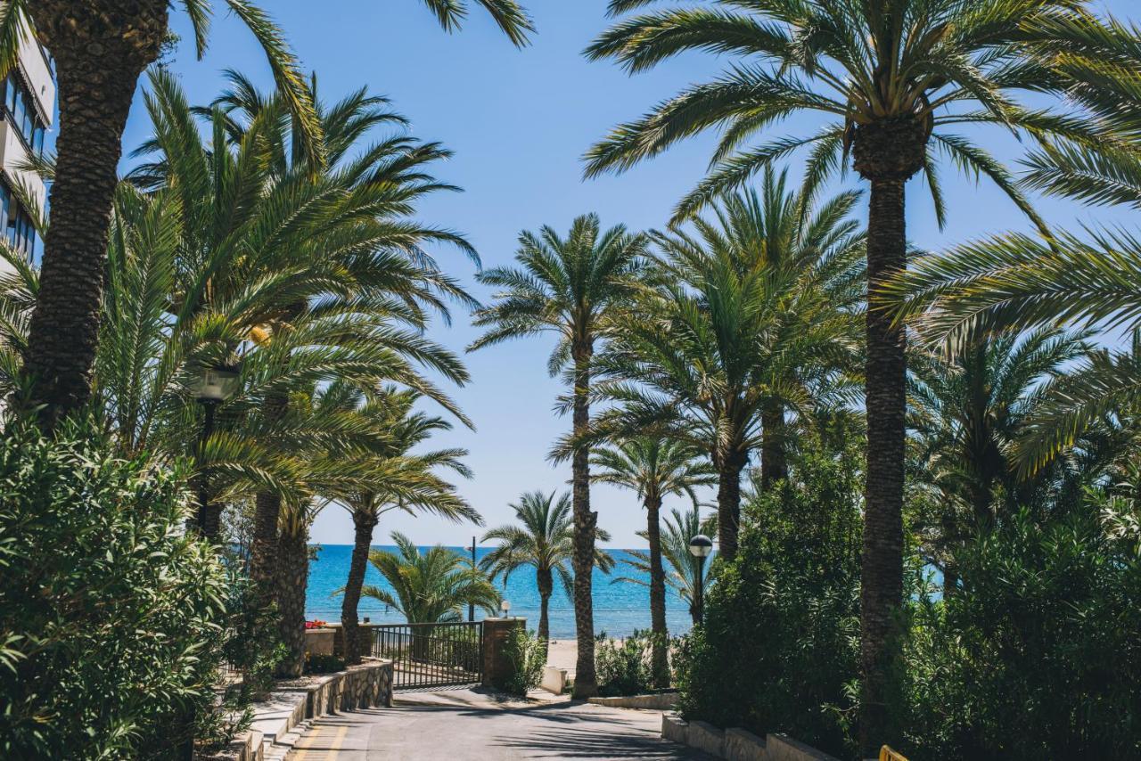 Glp Raspeig Dreamsea Διαμέρισμα El Campello Εξωτερικό φωτογραφία